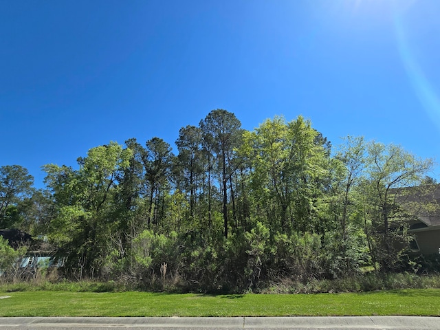 1070 Blockade Runner Pkwy, Summerville SC, 29485 land for sale