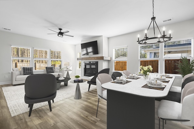 dining room featuring a glass covered fireplace, ceiling fan with notable chandelier, wood finished floors, and visible vents