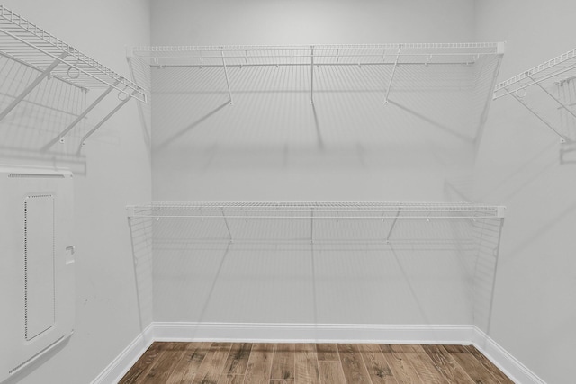 walk in closet with hardwood / wood-style flooring