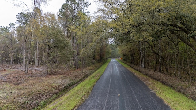 0 Red Root Rd, Ruffin, SC 29475