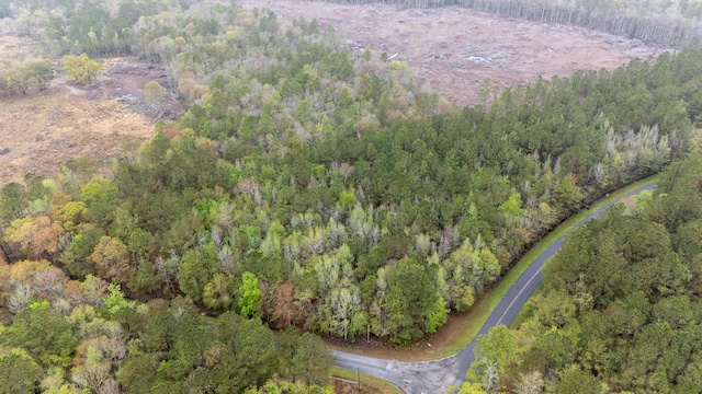 0 Red Root Rd, Ruffin, SC 29475
