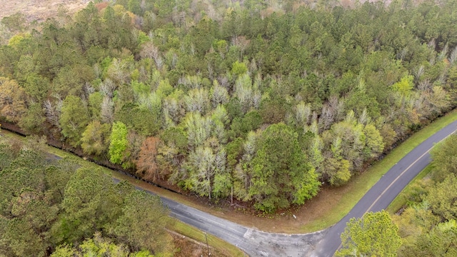 0 Red Root Rd, Ruffin, SC 29475