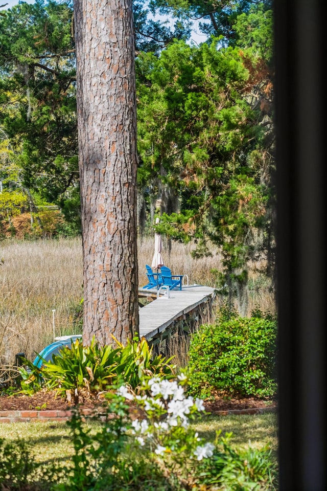 630 Cain Dr, Mount Pleasant, SC 29464 - view of yard