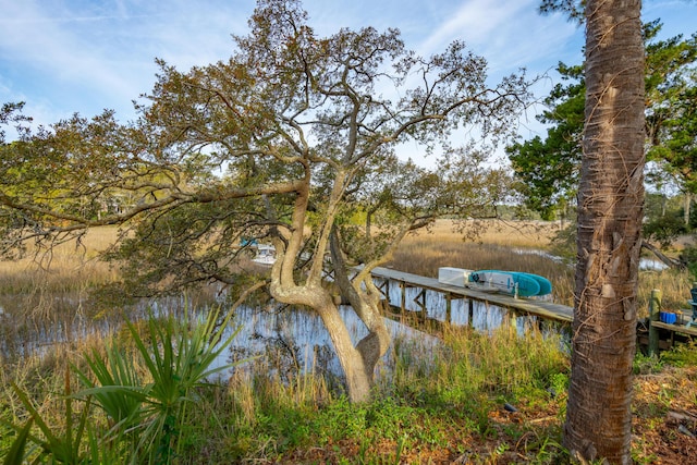 630 Cain Dr, Mount Pleasant, SC 29464 - view of dock area