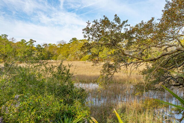630 Cain Dr, Mount Pleasant, SC 29464 - view of local wilderness
