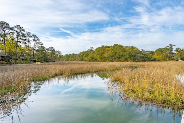 630 Cain Dr, Mount Pleasant, SC 29464 - water view featuring a forest