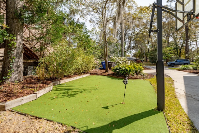 630 Cain Dr, Mount Pleasant, SC 29464 - surrounding community with a putting green