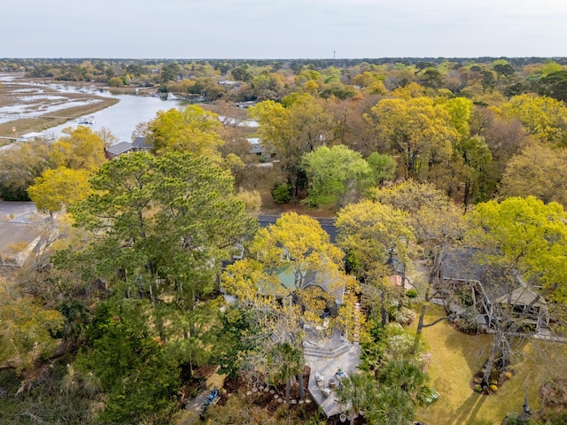 630 Cain Dr, Mount Pleasant, SC 29464 - aerial view of property and surrounding area with a large body of water