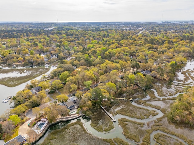 630 Cain Dr, Mount Pleasant, SC 29464 - view of property location featuring a heavily wooded area and a large body of water