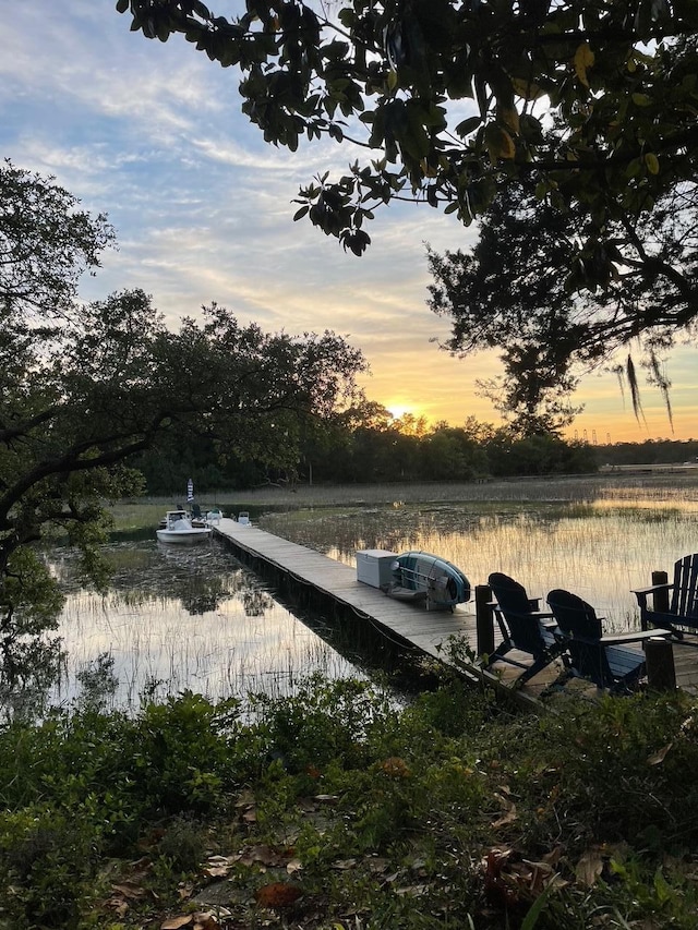 630 Cain Dr, Mount Pleasant, SC 29464 - dock area with a water view