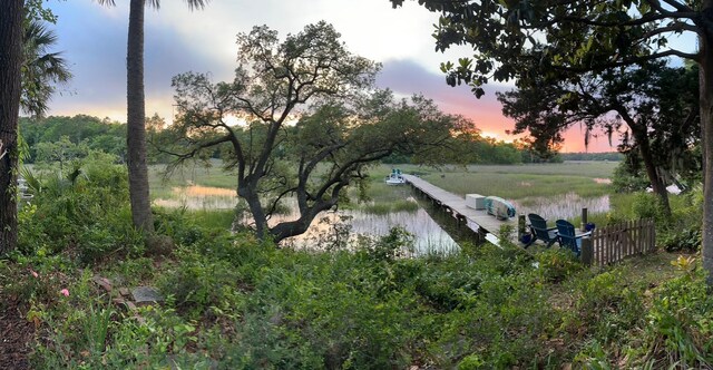 630 Cain Dr, Mount Pleasant, SC 29464 - water view