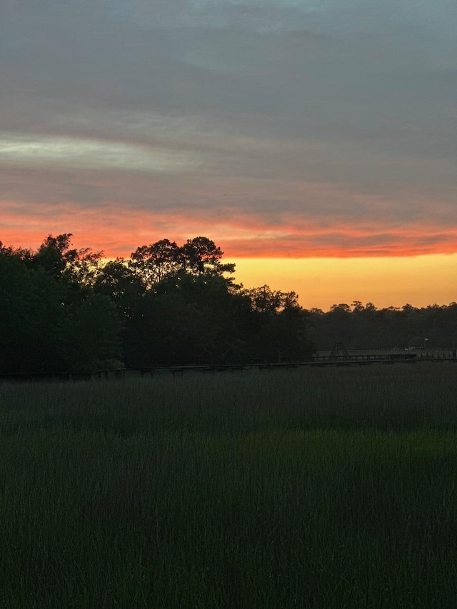 630 Cain Dr, Mount Pleasant, SC 29464 - view of yard at dusk