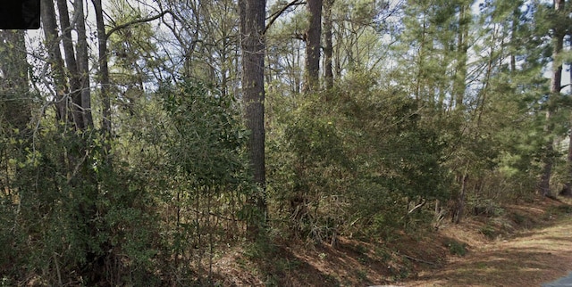 205 Ginn Altman Ave, Hampton, SC 29924