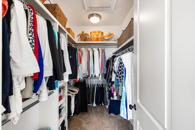 2087 Sterling Marsh Ln, Seabrook Island, SC 29455 - walk in closet with carpet floors and attic access
