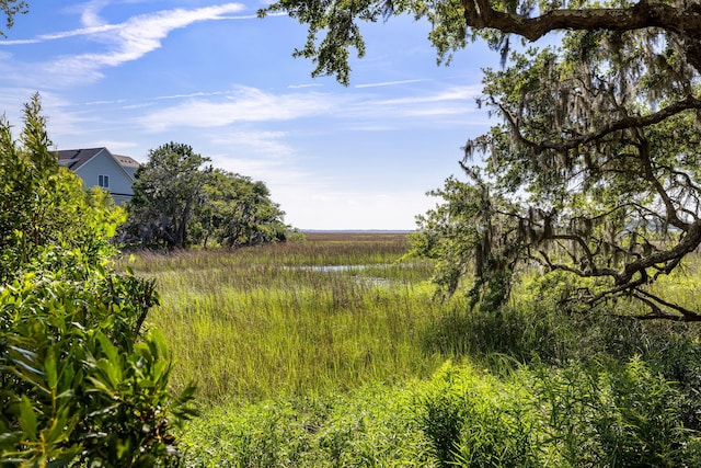 2087 Sterling Marsh Ln, Seabrook Island, SC 29455 - view of local wilderness