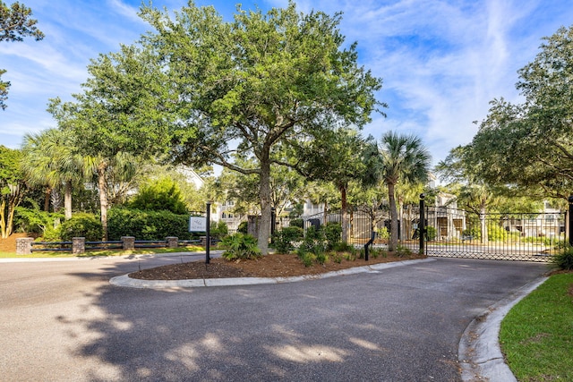 2087 Sterling Marsh Ln, Seabrook Island, SC 29455 - view of front of house featuring a gate and asphalt driveway
