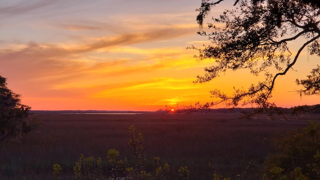 2087 Sterling Marsh Ln, Seabrook Island, SC 29455 - view of nature