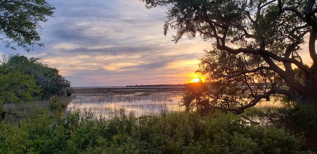 2087 Sterling Marsh Ln, Seabrook Island, SC 29455 - water view