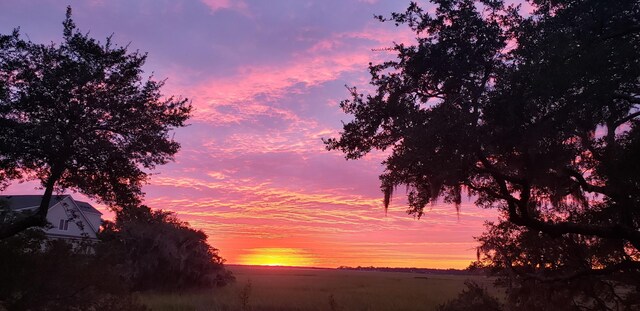 2087 Sterling Marsh Ln, Seabrook Island, SC 29455 - view of nature at dusk