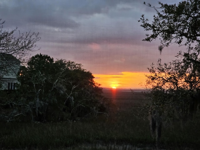 2087 Sterling Marsh Ln, Seabrook Island, SC 29455 - view of nature at dusk