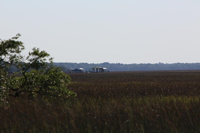 2087 Sterling Marsh Ln, Seabrook Island, SC 29455 - view of yard