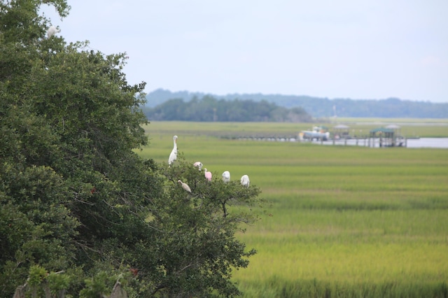 2087 Sterling Marsh Ln, Seabrook Island, SC 29455 - view of mountain backdrop with rural landscape