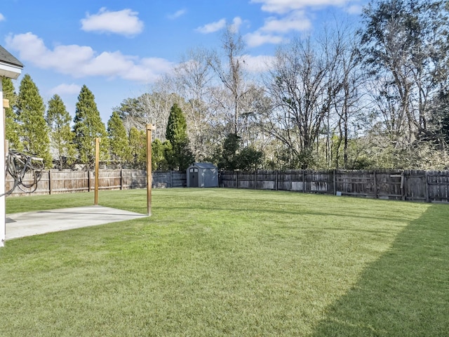 view of yard with a shed and a patio