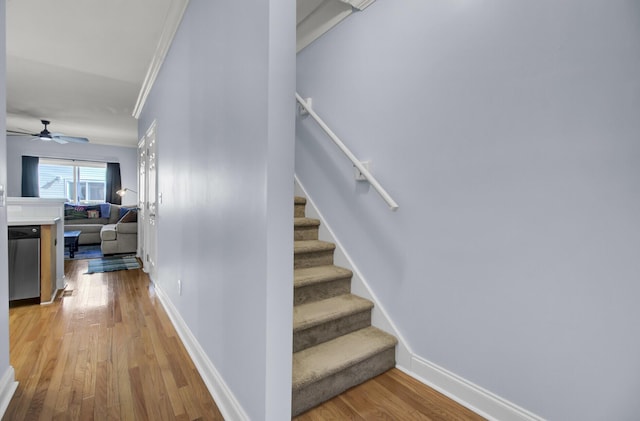 stairs featuring crown molding, ceiling fan, and hardwood / wood-style floors