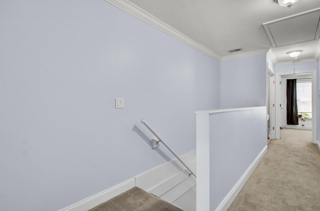 stairs featuring crown molding and carpet floors