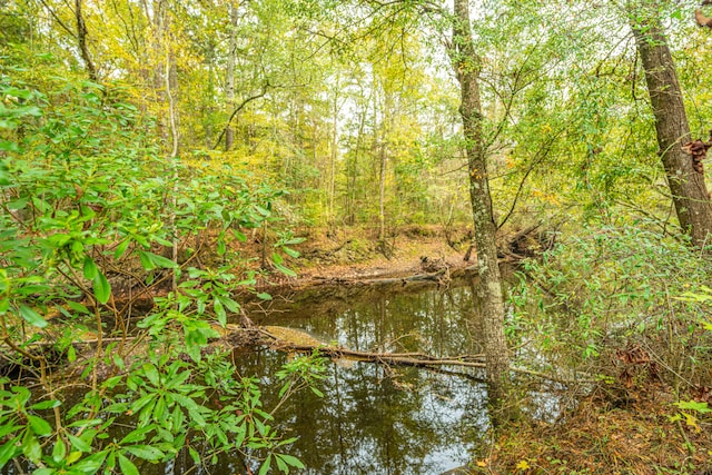 view of local wilderness with a water view