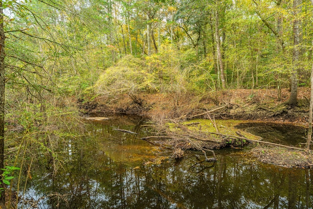 view of local wilderness