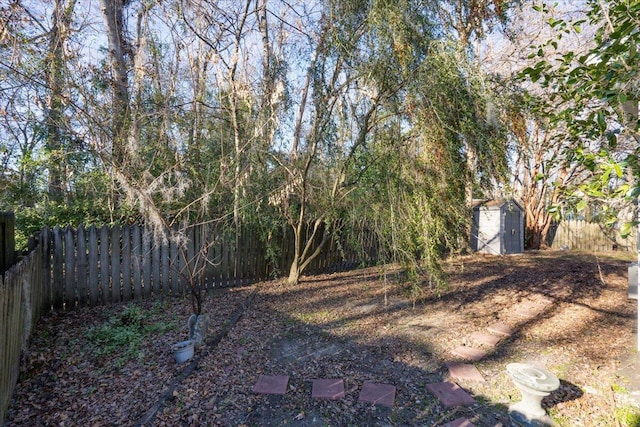 view of yard with a storage shed