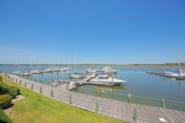 dock area with a water view