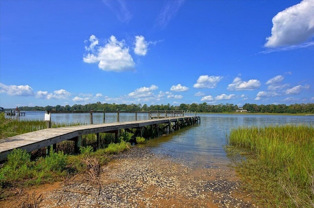 dock area featuring a water view