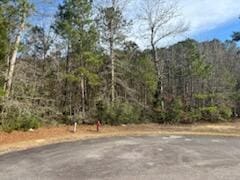 226 Spotted Owl Ln, Moncks Corner SC, 29461 land for sale