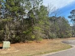 Listing photo 3 for 226 Spotted Owl Ln, Moncks Corner SC 29461