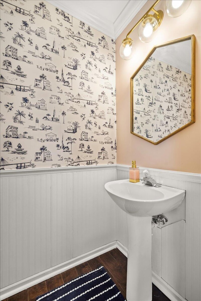 bathroom featuring a wainscoted wall, wood finished floors, crown molding, and a sink