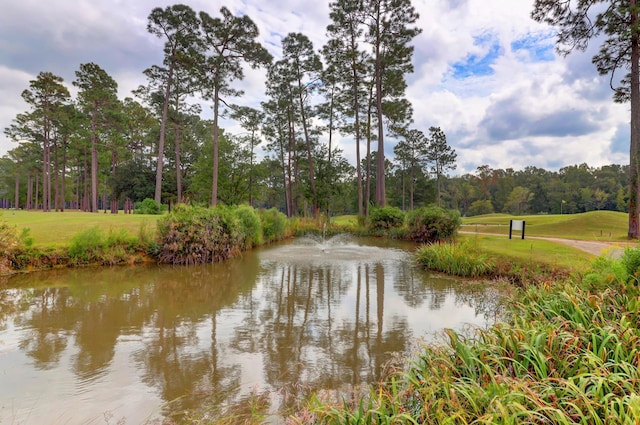 property view of water