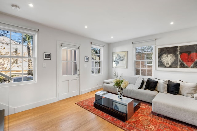 living room featuring hardwood / wood-style flooring