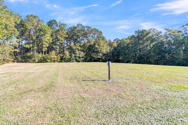 125 Towering Pine Dr, Ladson, SC 29456 - view of green lawn