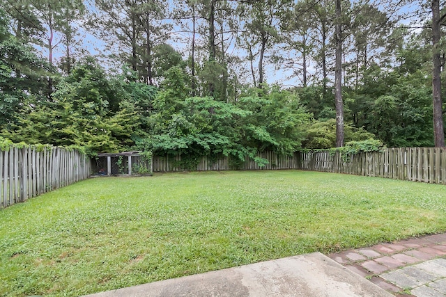 125 Towering Pine Dr, Ladson, SC 29456 - view of yard