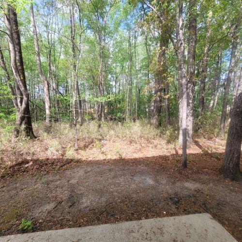 9471 Netted Charm Ct, Ladson, SC 29456 - view of yard featuring a view of trees