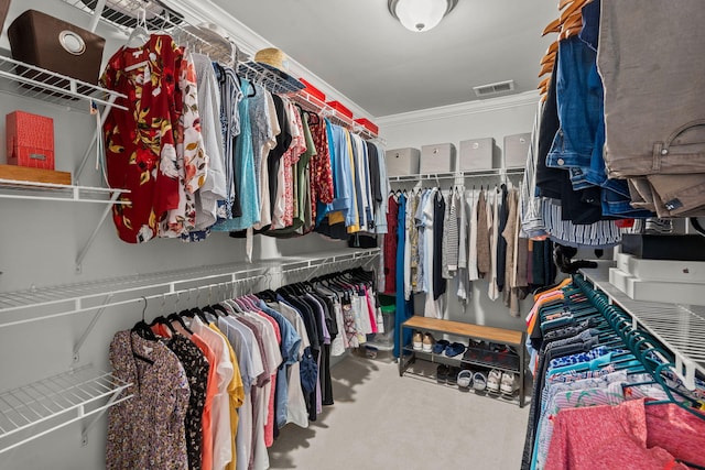 spacious closet with carpet flooring and visible vents