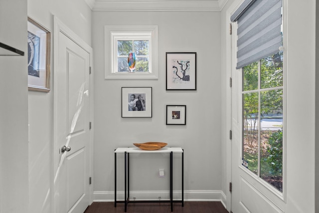 entryway featuring baseboards, dark wood-style flooring, and crown molding