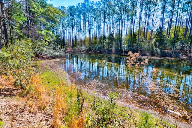 water view with a wooded view