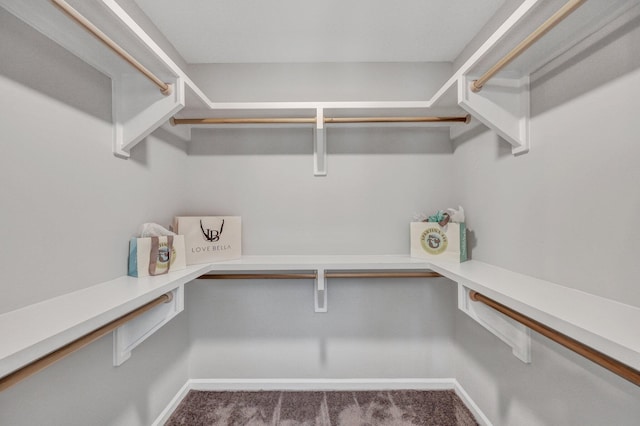 walk in closet featuring carpet floors