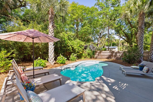 view of pool with a patio area