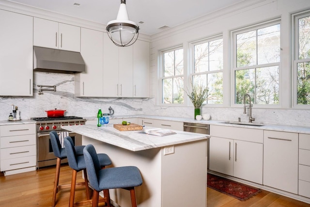 222 Haddrell St, Mount Pleasant, SC 29464 - kitchen with under cabinet range hood, stainless steel appliances, a sink, a breakfast bar, and light wood-type flooring
