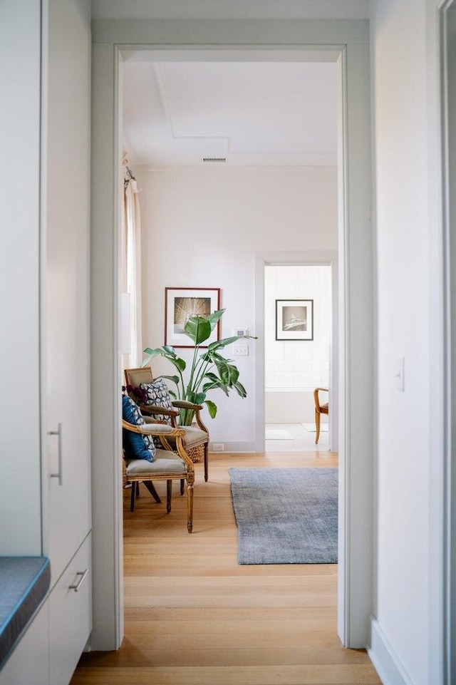222 Haddrell St, Mount Pleasant, SC 29464 - corridor with light wood-style floors