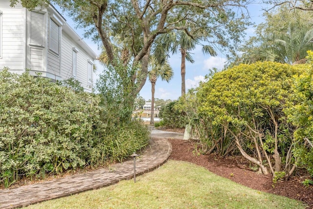 222 Haddrell St, Mount Pleasant, SC 29464 - view of yard